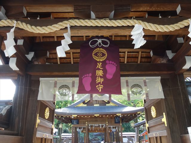 至る所にイノシシだらけ！の護王神社に行ってきました！