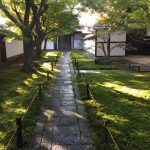 枯山水庭園が素晴らしい！「大徳寺　黄梅院」秋の特別公開