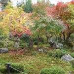 紅葉し始めた圓光寺の見事な池泉回遊式庭園