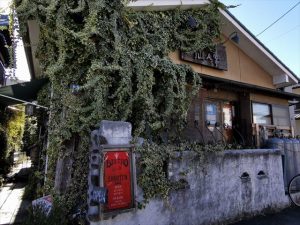 ビストロ仙人掌（サボテン）