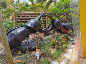 ナゴパイナップルパーク