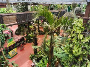 ナゴパイナップルパーク