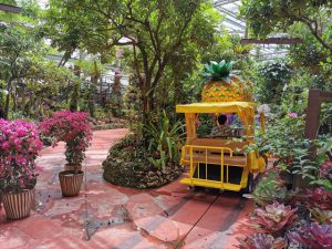 ナゴパイナップルパーク