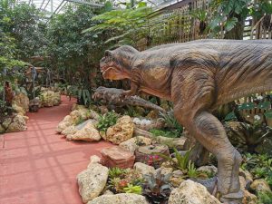 ナゴパイナップルパーク