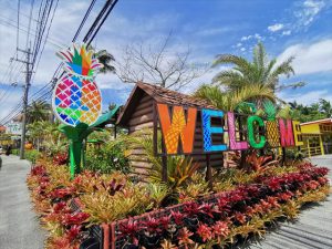 パイナップルパーク