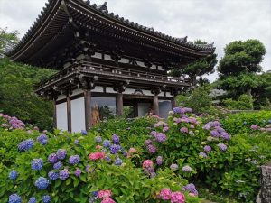 丹州観音寺