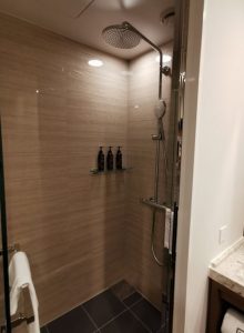 ロイヤルパークキャンバス京都二条のシャワー